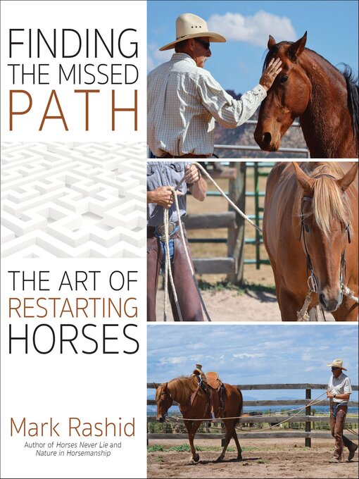 Cover image for Finding the Missed Path